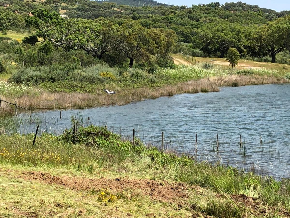 Fontes - A Essencia Do Alentejo Com Lago Privado Redondo Kültér fotó
