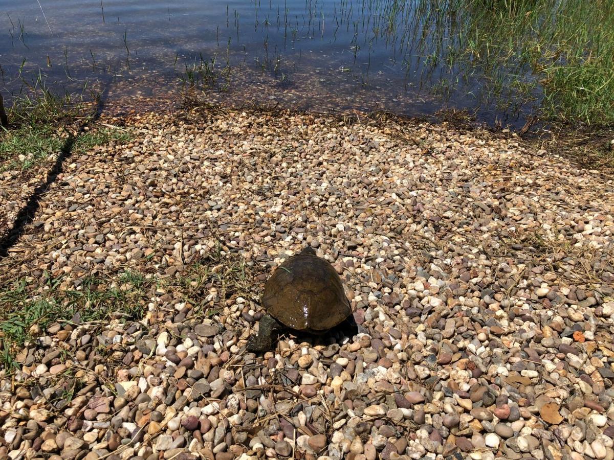 Fontes - A Essencia Do Alentejo Com Lago Privado Redondo Kültér fotó