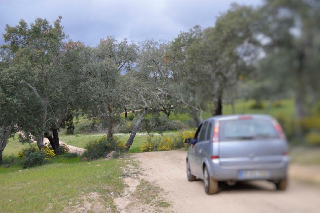 Fontes - A Essencia Do Alentejo Com Lago Privado Redondo Kültér fotó